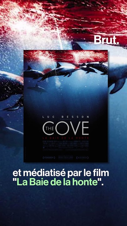 La baleine piégée dans un filet de pêche au Japon a été tuée