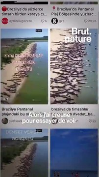 La vidéo de l’invasion de crocodiles sur une plage , un fake ?