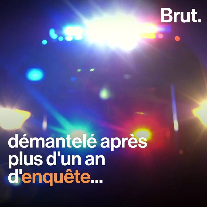 En Floride, un trafic international d’écureuils volants démantelé