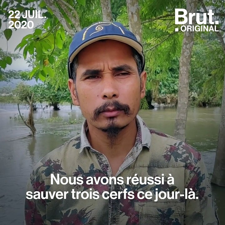 Inondations en Inde : un homme sauve des animaux in extremis dans le parc national de Kaziranga