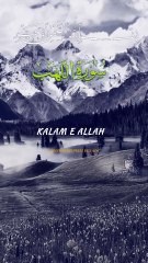 SURAH Lahab Tlawat / Quran Recitation