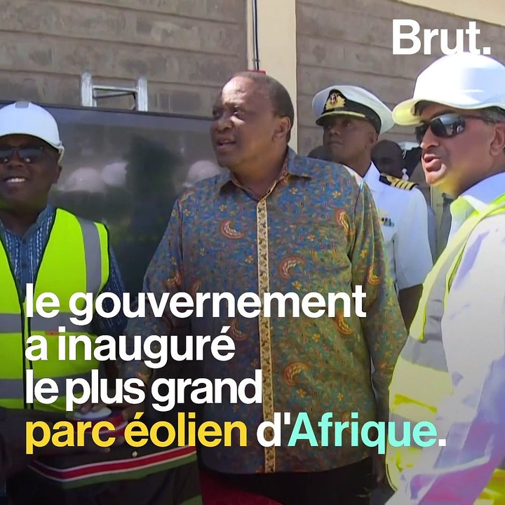 5 bonnes nouvelles pour la planète en août 2019