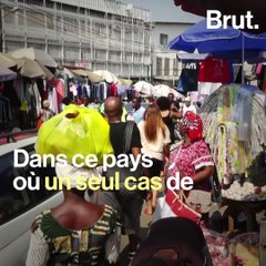 Covid-19 : le pangolin pourrait bénéficier de la pandémie