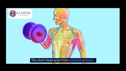 💪 The Muscular System Explained! | How Your Muscles Work & Stay Strong 🚀