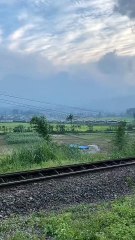 KAI kereta api Argo Wilis