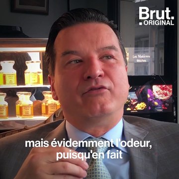 Pourquoi les plantes ont une odeur ?