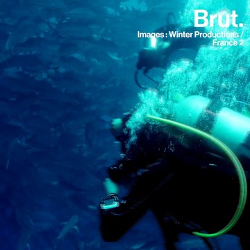 Cabo Pulmo : un sanctuaire de biodiversité au Mexique