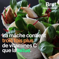 Les nombreux atouts de la mâche