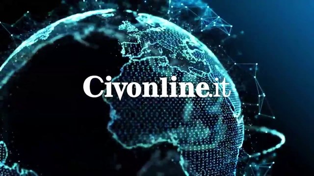 Delfini alla Lega Navale di Civitavecchia