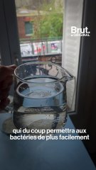 Recette spéciale confinement : le pain au levain
