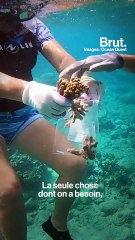 Avec Ocean Quest, Sandrine Treyvaud replante des coraux