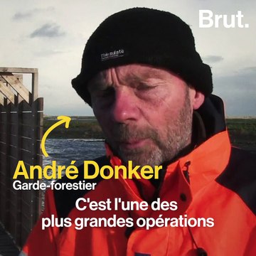 Opération aux Pays-Bas pour sauver le lac Markemeer