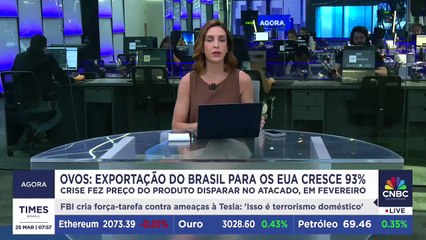 Exportação de ovos do Brasil para os EUA cresce 93%; saiba mais