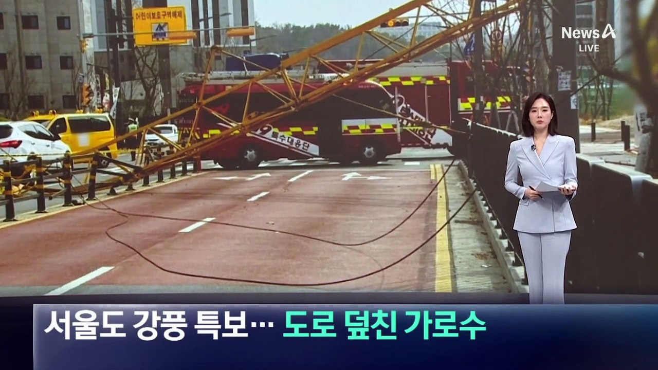 서울도 강풍 특보…도로 덮친 가로수