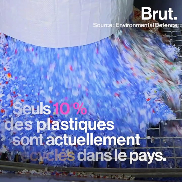 5 bonnes nouvelles pour la planète en juin 2019