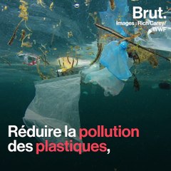 Débat au Parlement européen sur les ballons de baudruche
