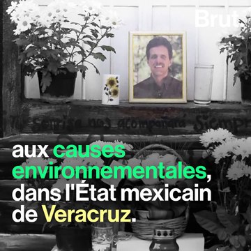 Ces militants écologistes assassinés en 2017