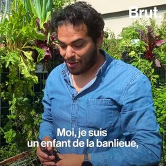 Une ferme potagère sur le toit du centre commercial