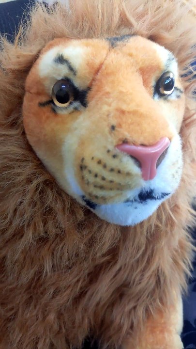 🦁