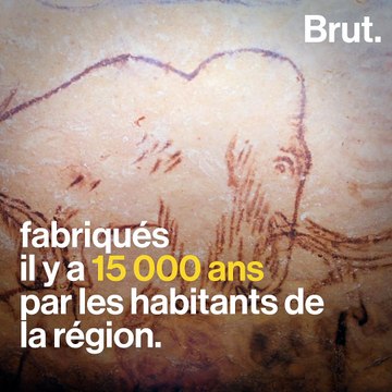 Mexique : plus de 800 os de mammouths découverts