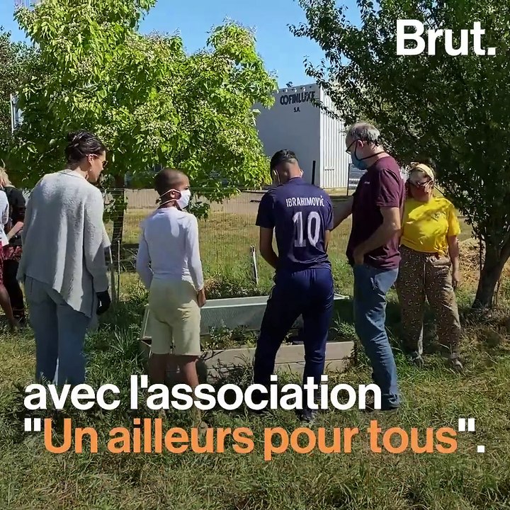 Le potager solidaire du magasin Biocoop du Mantois