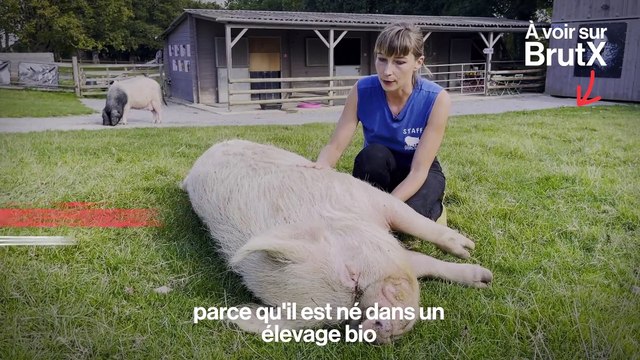 À voir sur BrutX : Plumard avec Jean-Baptiste Del Amo