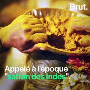 Le curcuma, une épice aux mille vertus