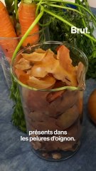 Comment teindre un tee-shirt avec des plantes ?