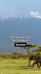 Ces glaciers vont "très probablement" disparaître d’ici 2050