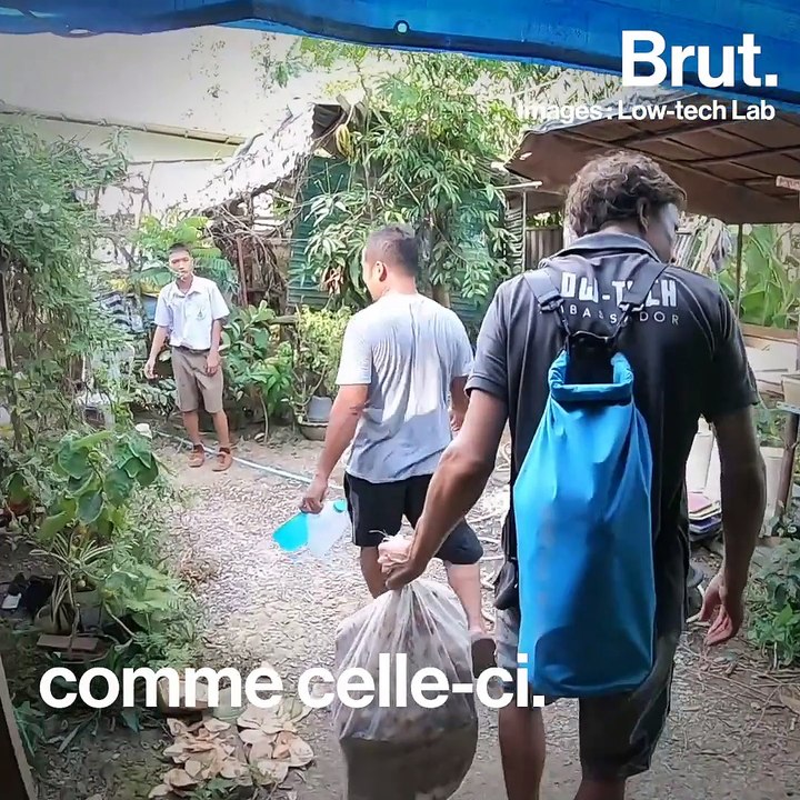 Voilà comment fabriquer une ferme à grillons