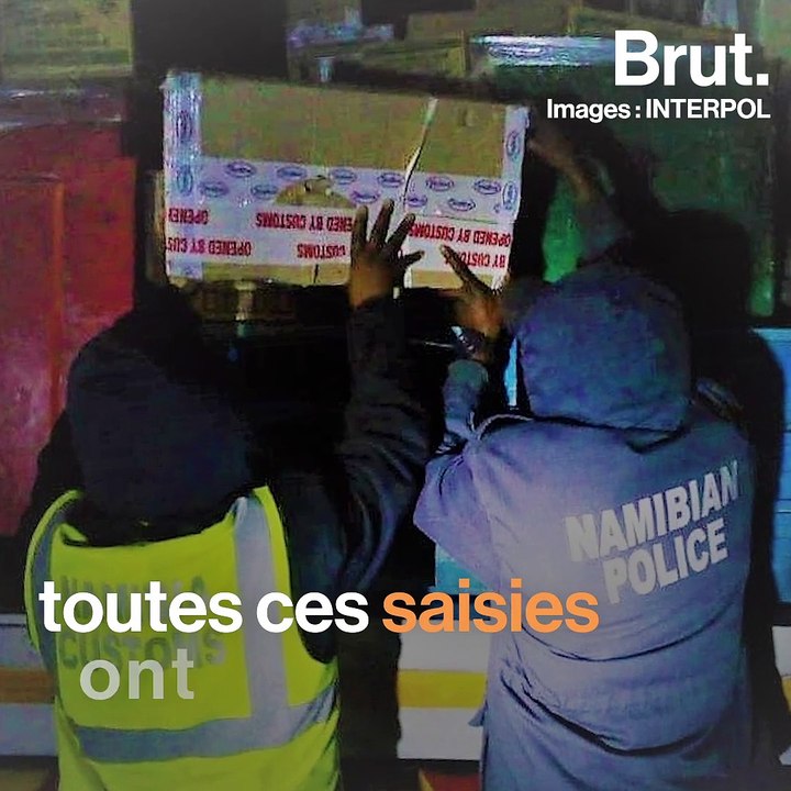 Des milliers d'animaux sauvages sauvés lors d'une opération d'envergure