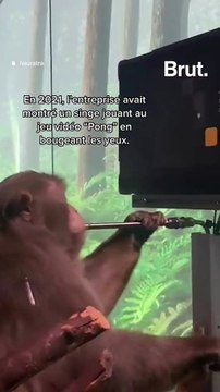 Implant cérébral Neuralink : bientôt des essais sur les humains ?