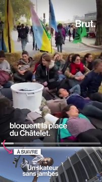 En Bretagne, des algues vertes mortelles inquiètent la population