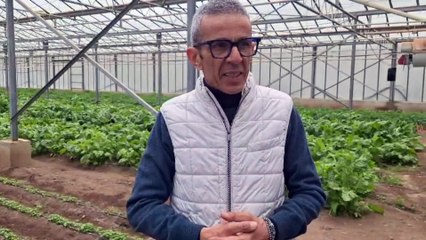 Siccit? nella Nurra, parla l'agricoltore Antonio Idini:??Chi fa ortaggi rischia di sparire, sbagliato salvare solo vite e ulivo?