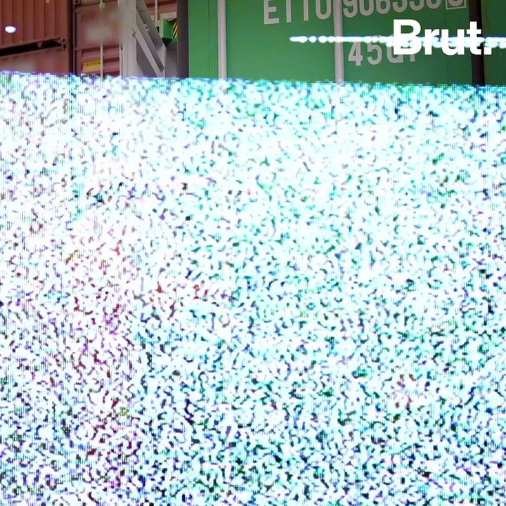 Thunder 2020 : une vaste opération contre le trafic d’espèces sauvages