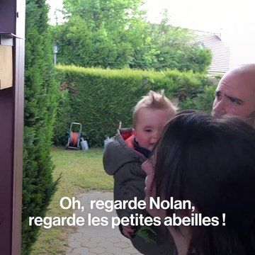 Adopter des abeilles dans son jardin