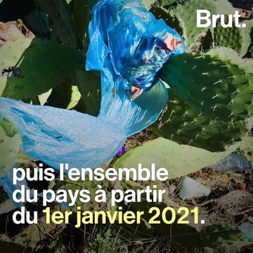 5 bonnes nouvelles pour la planète