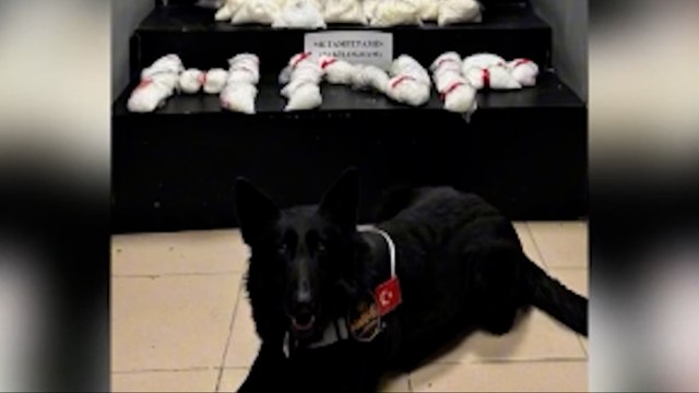 Hakkari'de 34 kilogram sentetik uyuşturucu ele geçirildi