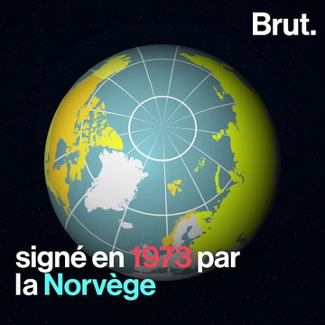 Voici la véritable situation des ours blancs dans le monde
