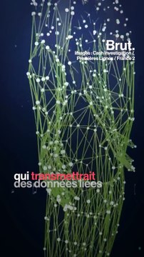 Cash Investigation a enquêté sur le traçage de nos données personnelles