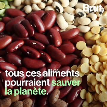 Les nombreux atouts des légumineuses