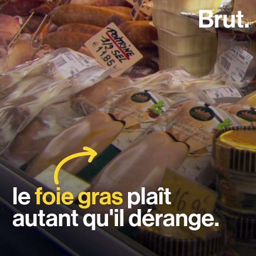 Le foie gras, un plat populaire toujours aussi controversé