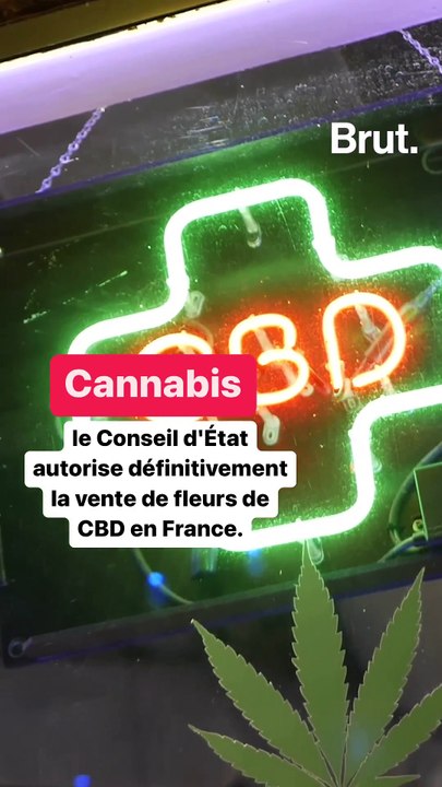 Le Conseil d’Etat autorise la vente de fleurs de CBD