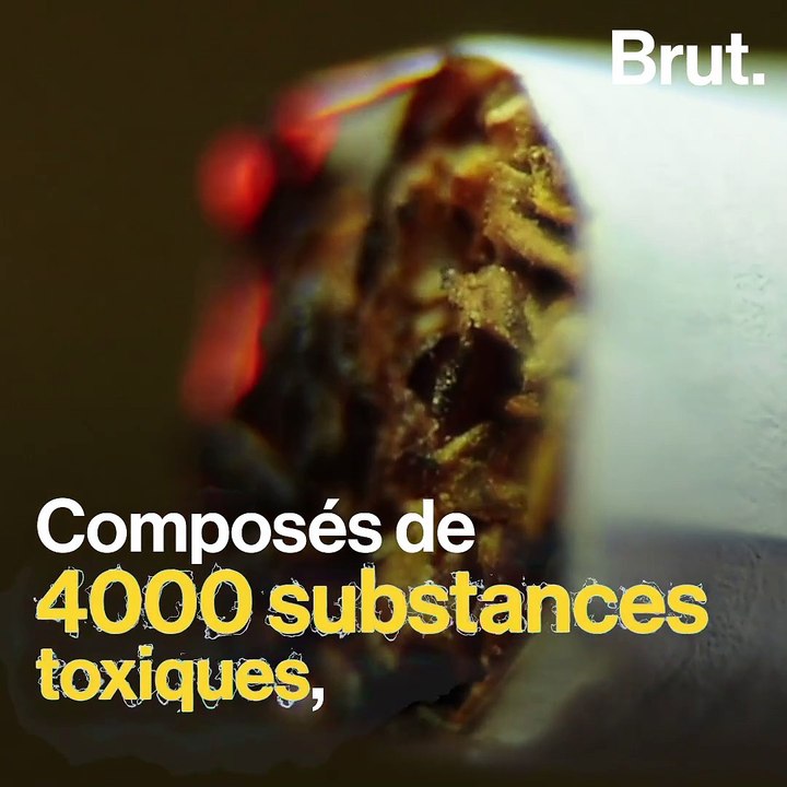 #FillTheBottle : le défi qui nettoie la Terre des mégots jetés par terre