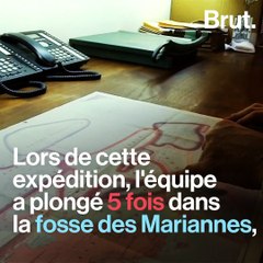 Du plastique découvert dans la fosse des Mariannes