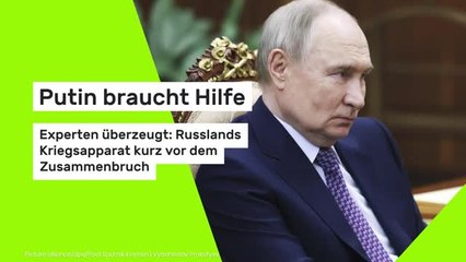 Putin braucht Hilfe: Experten überzeugt: Russlands Kriegsapparat kurz vor dem Zusammenbruch