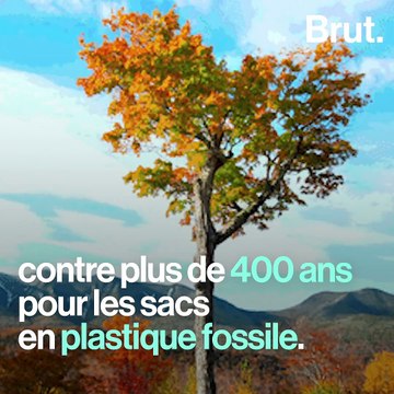 Un sac biodégradable et directement compostable