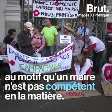 Le combat du maire de Langouët contre les pesticides
