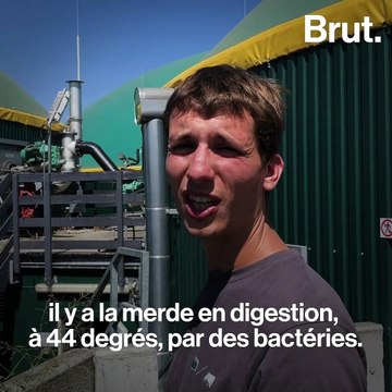 Ilek transforme les bouses de vache en énergie renouvelable
