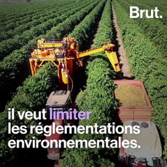 Jair Bolsonaro inquiète les défenseurs de l'environnement